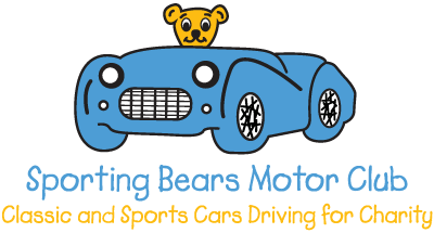 sporting-bear